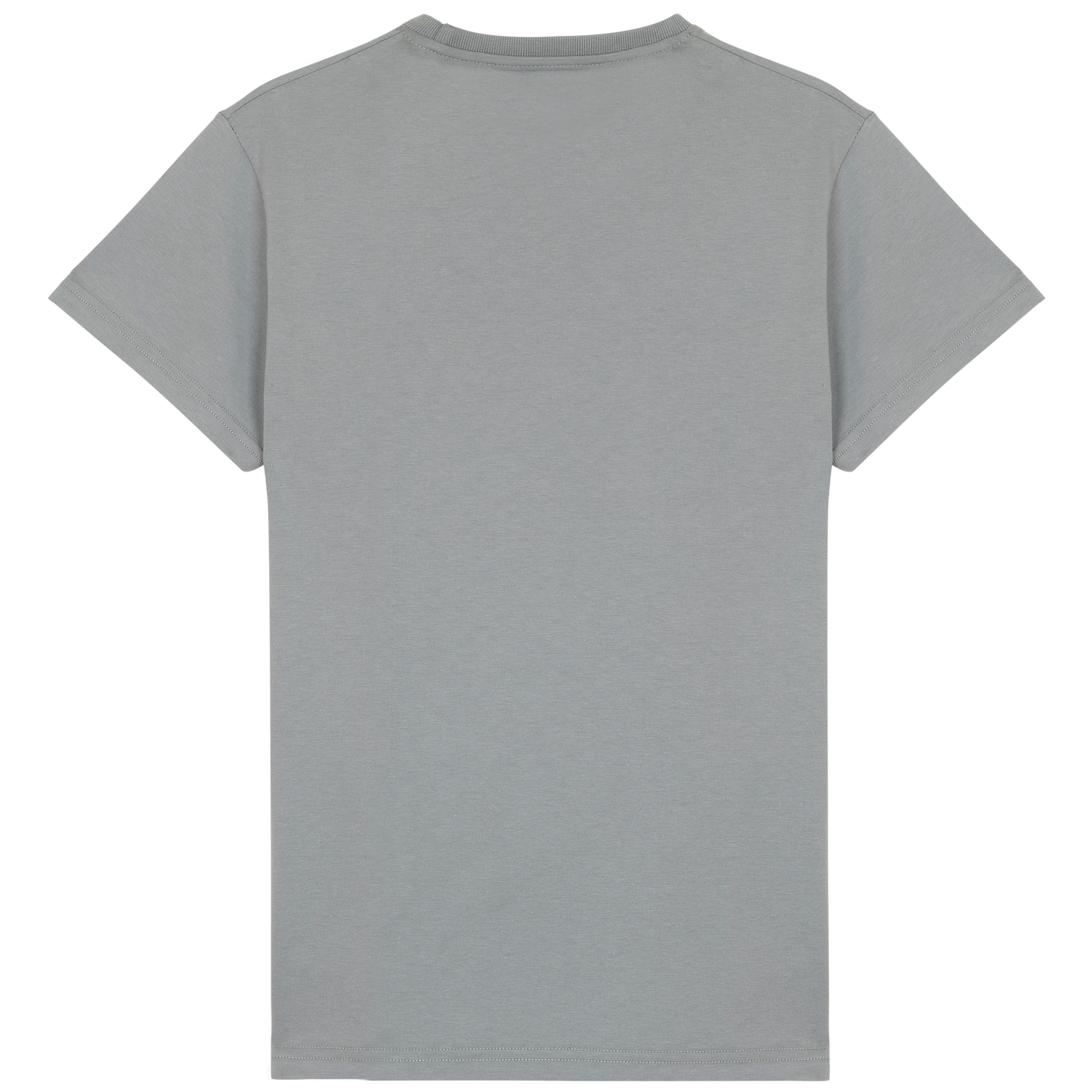 Camiseta BASIC CASUAL gris